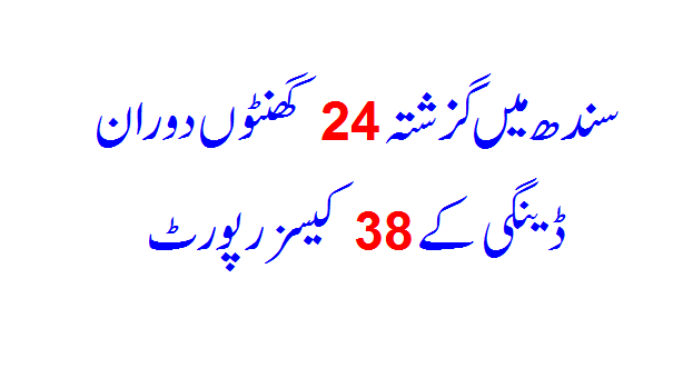 38 cases of dengue reported in Sindh in last 24 hours