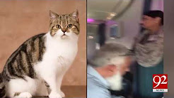 A cat caused delay in PIA flight - 22 December 2017