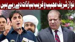 Bilwal Bhutto Slams Nawaz Sharif For Anti-Judiciary Speeches: Bilawal Bhutto