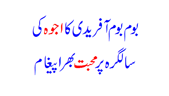 Boom Boom Afridi's loving message on Ajwa's birthday