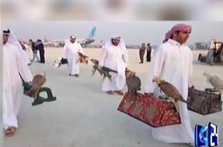 CH 24 gets copy of letter where KPK govt denied foreign office's request to grant hunting permits for Qattar dignitaries