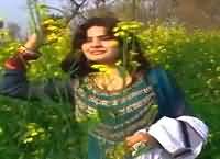 Chita Chola Song - Watch Now