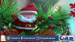 Christmas Trees demand increased due to Christmas arrival