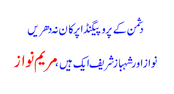 Don't listen to the enemy's propaganda, Nawaz and Shahbaz Sharif are one, Maryam Nawaz