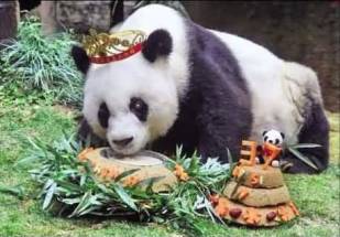 Dunya Ki Taweel Umar Maada Panda 