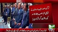 Erdogan says ´terrorist´ Assad cannot be part of Syria solution !!!