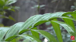 Finally rain in Islamabad welcomes the new season - 22 October 2017