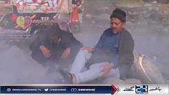 Flowers on a coat of coat and tail