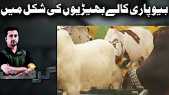 Grift with Saddam Tufail - 1 September 2017 - Express News