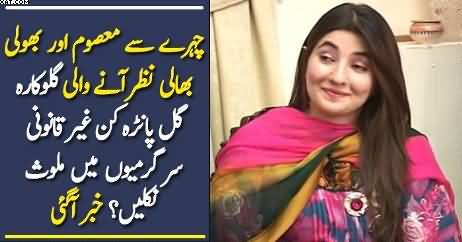 Gul Panra Kin Ghair Qanoni Sargarmiyon Main Mulawis Niklien ?