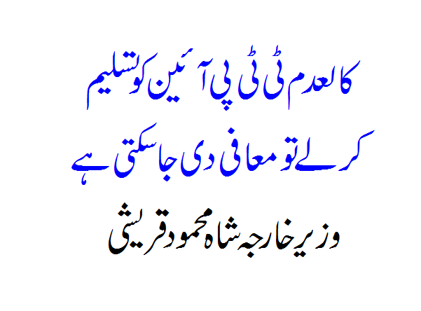 If the banned TTP recognizes the constitution, it can be pardoned, says Foreign Minister