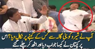 Imran Khan Funny Reply On His Dog Shero