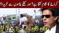 Imran Khan Revealed The Nawaz Sharif Rally Strength - Pak News
