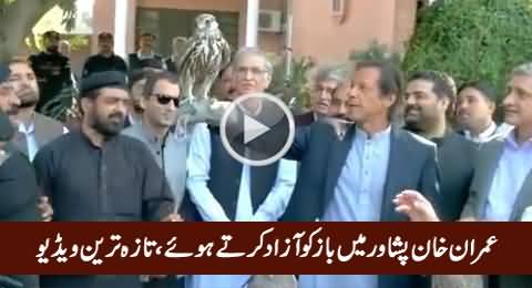 Imran Khan Setting Falcons Free with His Own Hands in Peshawar