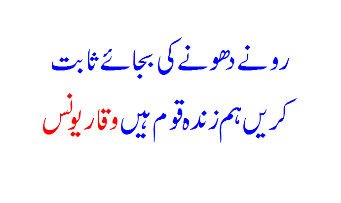 Instead of crying, prove that we are a living nation, Waqar Younis