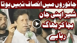 Janwar Na Akhir Ma Bhagna Hota Hai - Imran Khan Bashing Nawaz Sharif Badly