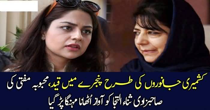 Kashmir Mein Janwaron Ki Tarah Qaid