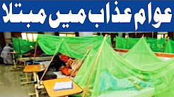 KPK Main Qayamat Barpa - Headlines 10 AM - 1 September 2017 - AbbTakk News