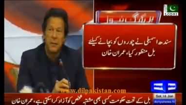 Lodhi Any criminal can be released, Bill is to protect thieves, PTI strongly opposes Sindh Assembly Bill: Imran Khan
