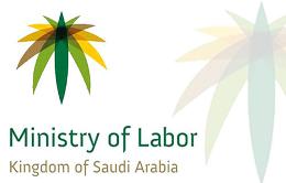 Millions of Saudi youth were employed in 2017