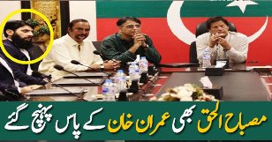 Misbah Ul Haq Meets Imran Khan