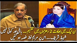 Nawaz League Do Groups Mai Taqseem Hogaye