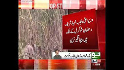 Neo News Bulletin of 12:00 PM - 26 Dec 2017