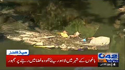 News Headlines - 4:00 PM - 23 December 2017