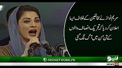 Opponents fear PML-N social media force, says Maryam