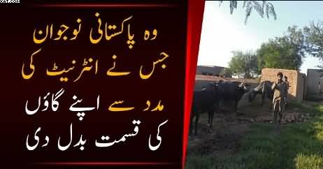 Pakistani Naujawaan - 2017