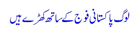 People stand along with Pakistan Army - Zulfi Bukhari