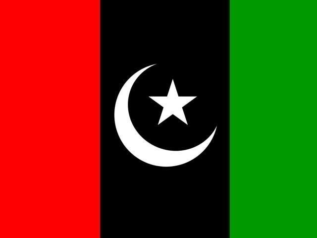 PPP will resign from parliament when PDM decides, says PPP