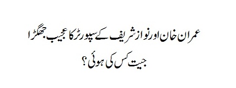 PTI Imran Khan Supporter Vs Nawaz Sharif Supporter