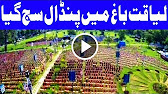 PTI or Awami Muslim League Kay Jalsay Ki Tyaria - Headlines 3 PM - 13 August 2017 - Dunya News