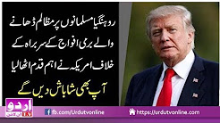 Rohingya Musalmano par Zulm Amrika Maidan me Agya