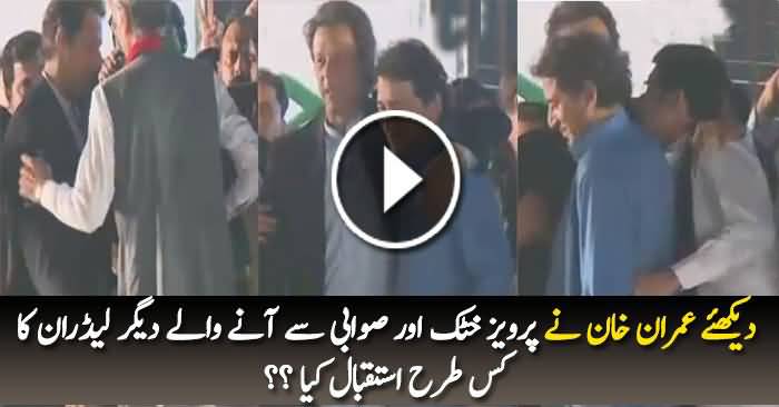 See How Imran Khan and Other PTI Leaders Welcomed CM KPK Pervez Khattak?