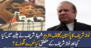 Shahbaz Sharif Response On Nawaz Sharif Interview