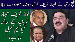 Sheikh Rasheed Give Good Suggestion To Shehbaz Sharif