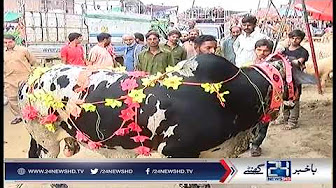 Sher e Gujranwala - dekhen Is video mein