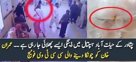 Shocking CCTV Footage Of Family Takes ‘Disease-Spreading’ Mosquitoes Into Peshawar Hospital
