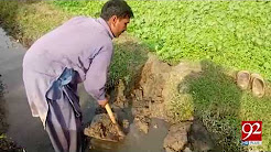 Special Report on the life of a Farmer, his challenges in daily life