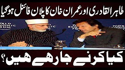 Tahir Ul Qadri & Imran Khan's Plan