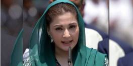 Talking to a fixed economy is a fun economy - Maryam Nawaz