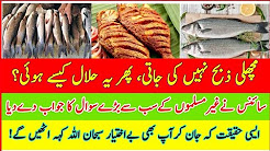 The fish is not slaughtered, then how was it lawful?