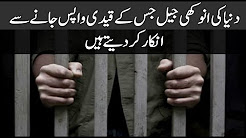 The unique prison of the world whose prisoners refuse to return