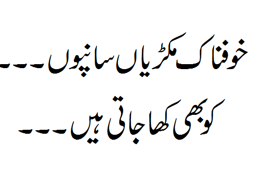 These terrible spiders even eat snakes!