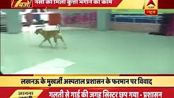 Three-storey building collapses near Sadar Bazar's Pan Mandi - सदर बाजार: तीन मंजिला इमारत गिरी