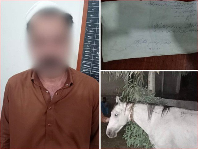 Video Viral Hone Par Mulzim Giraftaar