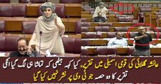 What Ayesha Gulalai Said During National Assembly Speech