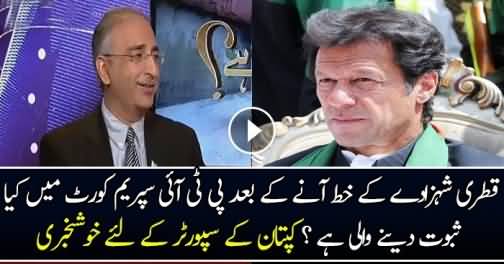 What Documents Pti Is Going To Present In The Supereme Court Against The Nawaz Sharif-Farrukh Saleem